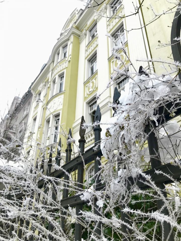 Die Bloggerin Bibi Horst zeigt uns wundervolle winterliche Hausfassaden in München Bogenhausen.