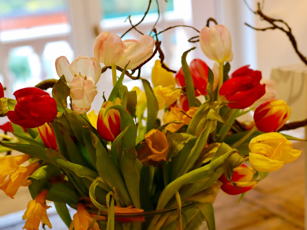 Bibi Horst erzählt plaudert über ihre Liebe zu Tulpen